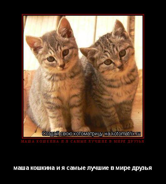 маша кошкина и я самые лучшие в мире друзья маша кошкина и я самые лучшие в мире друзья... Котоматрица: маша кошкина и я самые лучшие в мире друзья маша кошкина и я самые лучшие в мире друзья