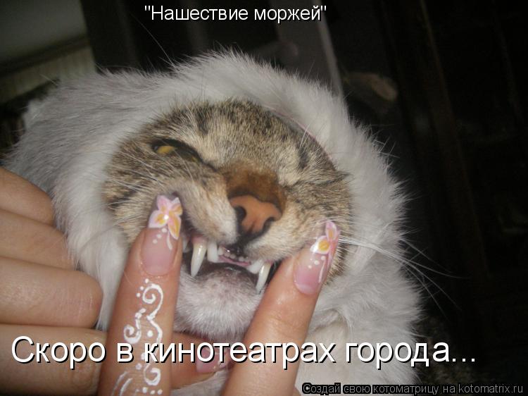 Котоматрица: "Нашествие моржей" Скоро в кинотеатрах города...