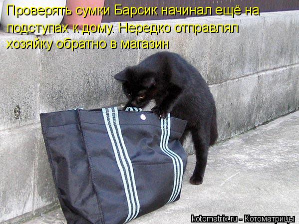 Проверять сумки Барсик начинал ещё на подступах к дому. Нередко отправлял хозяйку обратно в магазин... Котоматрица: Проверять сумки Барсик начинал ещё на подступах к дому. Нередко отправлял хозяйку обратно в магазин