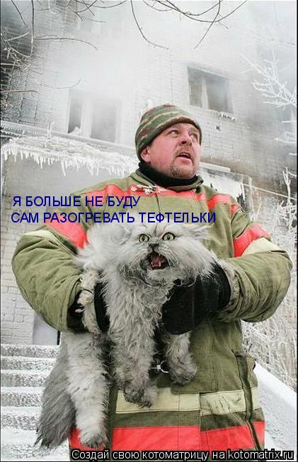 Котоматрица: Я БОЛЬШЕ НЕ БУДУ САМ РАЗОГРЕВАТЬ ТЕФТЕЛЬКИ