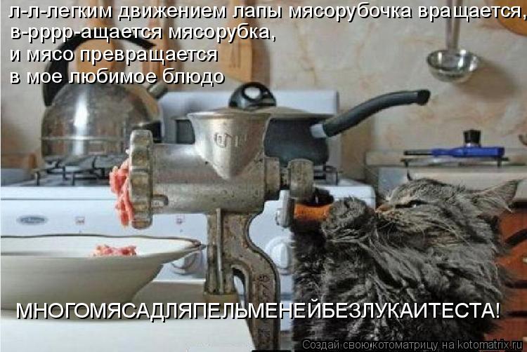 л-л-легким движением лапы мясорубочка вращается,... в-рррр-ащается мясорубка, и мясо превращается в м... Котоматрица: л-л-легким движением лапы мясорубочка вращается,... в-рррр-ащается мясорубка, и мясо превращается в мое любимое блюдо ПЕЛЬМЕНИБЕЗЛУКАИТЕСТА