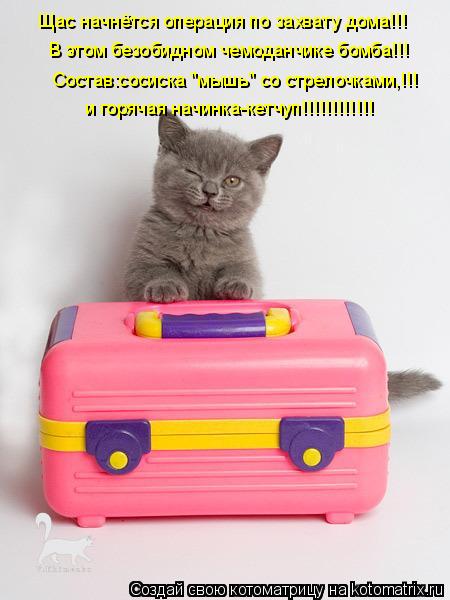 Котоматрица: Щас начнётся операция по захвату дома!!! В этом безобидном чемоданчике бомба!!! Состав:сосиска "мышь" со стрелочками,!!! и горячая начинка-кетч
