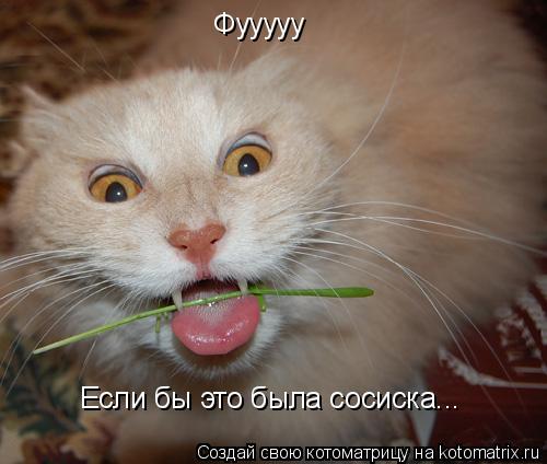 Котоматрица: Фууууу Если бы это была сосиска...