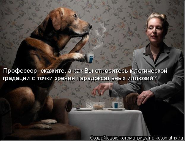 Котоматрица: Профессор, скажите, а как Вы относитесь к логической градации с точки зрения парадоксальных иллюзий?