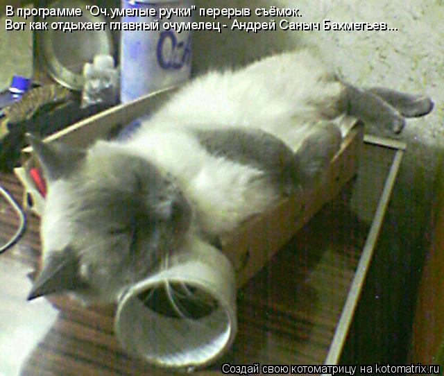 Котоматрица: В программе "Оч.умелые ручки" перерыв съёмок. Вот как отдыхает главный очумелец - Андрей Саныч Бахметьев...
