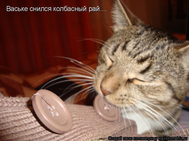 Котоматрица: Ваське снился колбасный рай....