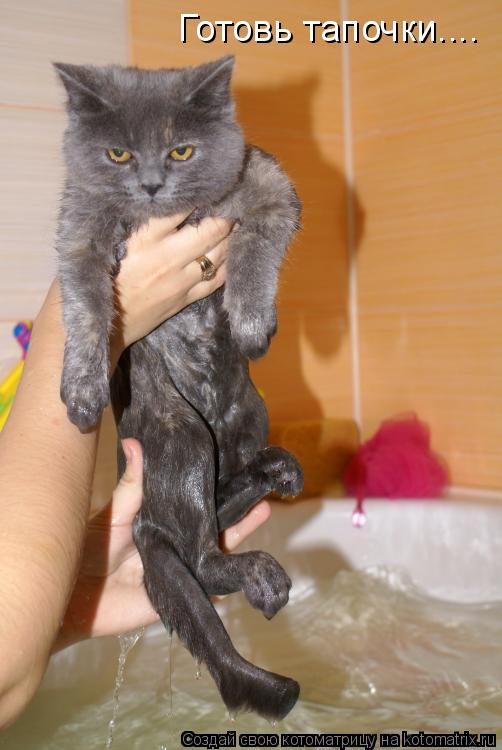 Котоматрица: Готовь тапочки....