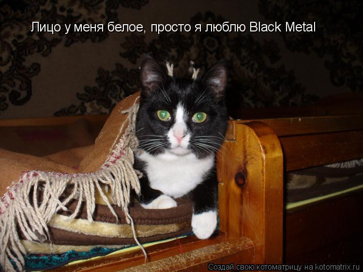 Котоматрица: Лицо у меня белое, просто я люблю Black Metal