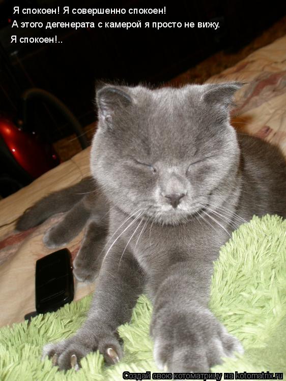 Котоматрица: Я спокоен! Я совершенно спокоен!  А этого дегенерата с камерой я просто не вижу. Я спокоен!..