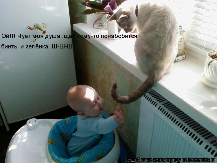 Котоматрица: Ой!!! Чует моя душа..щас кому-то понабобятся  бинты и зелёнка..Ш-Ш-Ш
