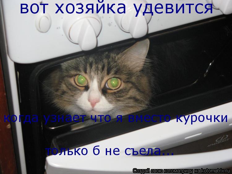 Котоматрица: вот хозяйка удевится когда узнает что я вместо курочки только б не съела...