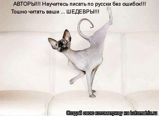 Котоматрица: АВТОРЫ!!! Научитесь писать по русски без ошибок!!! Тошно читать ваши ... ШЕДЕВРЫ!!!