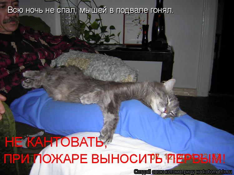 Котоматрица: Всю ночь не спал, мышей в подвале гонял. НЕ КАНТОВАТЬ,  ПРИ ПОЖАРЕ ВЫНОСИТЬ ПЕРВЫМ!
