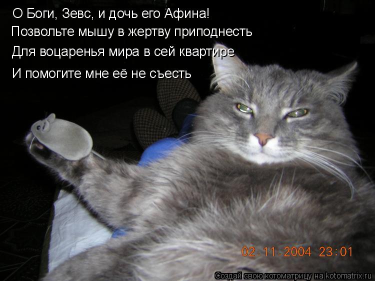 Котоматрица: Для воцаренья мира в сей квартире О Боги, Зевс, и дочь его Афина! Позвольте мышу в жертву приподнесть И помогите мне её не съесть