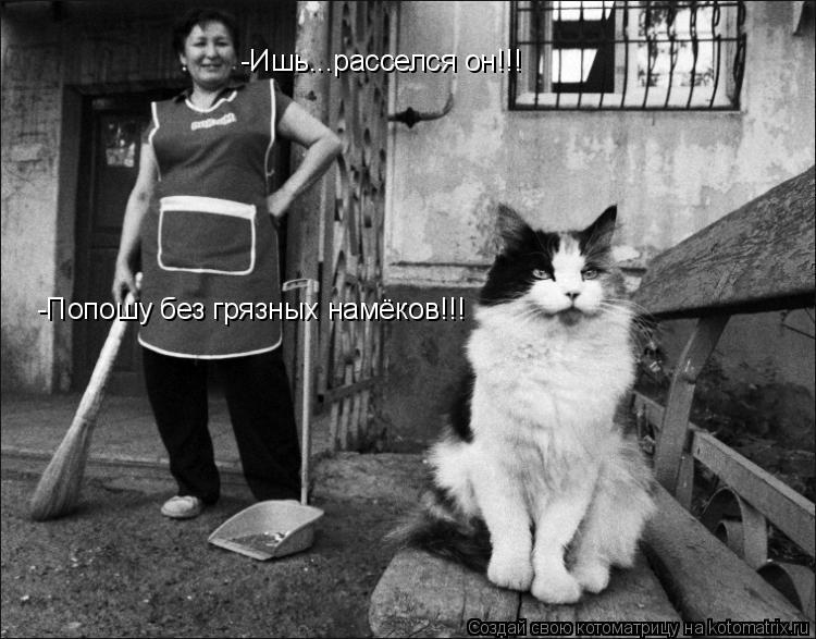 Котоматрица: -Попошу без грязных намёков!!! -Ишь...расселся он!!!