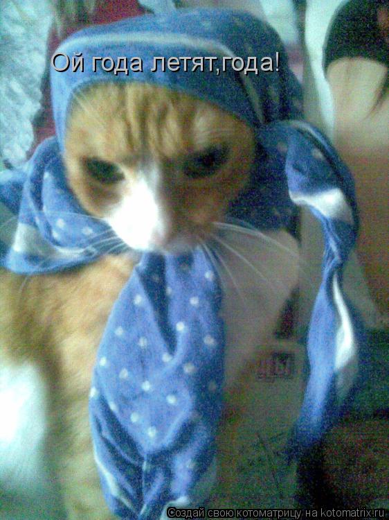 Котоматрица: Ой года летят,года!