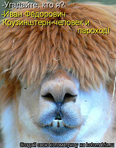 Котоматрица: -Угадайте, кто я? -Иван Фёдорович Крузинштерн-человек и  пароход!