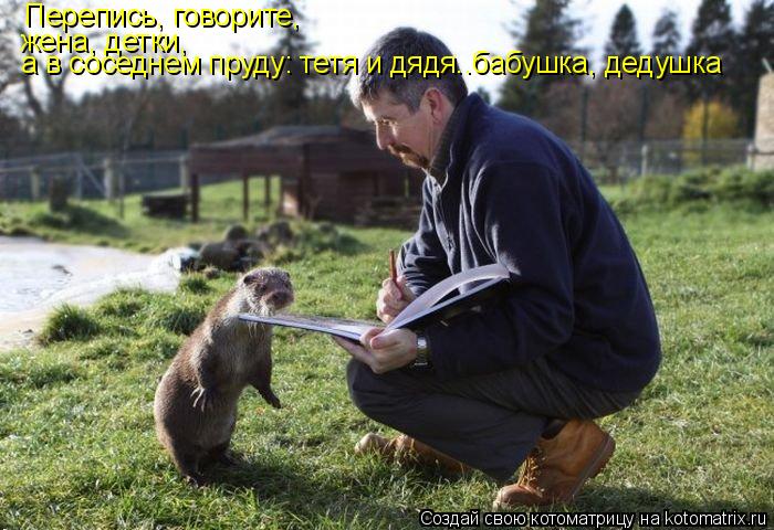 Котоматрица: Перепись, говорите, жена, детки, а в соседнем пруду: тетя и дядя..бабушка, дедушка