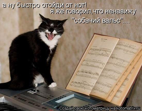 Котоматрица: а ну быстро отойди от нот! я же говорил,что ненавижу "собачий вальс"....
