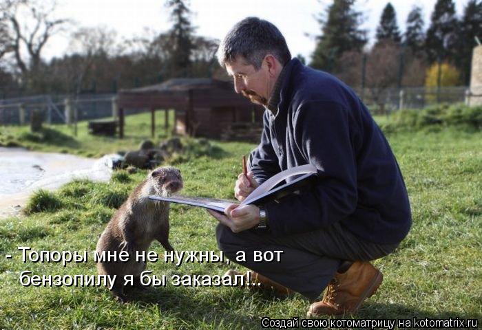 Котоматрица: - Топоры мне не нужны, а вот  бензопилу я бы заказал!..