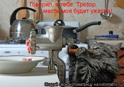 Котоматрица: Говорил, я тебе, Трезор,  месть моя будет ужасна!
