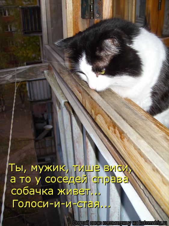 Ты, мужик, тише виси, собачка живет... а то у соседей справа Голоси-и-и-стая...... Котоматрица: Ты, мужик, тише виси, собачка живет... а то у соседей справа Голоси-и-и-стая...