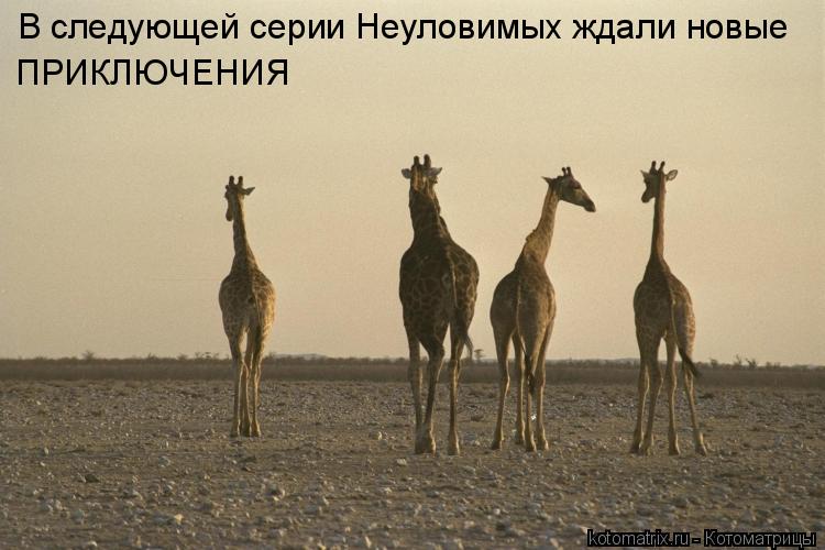 В следующей серии Неуловимых ждали новые ПРИКЛЮЧЕНИЯ... Котоматрица: В следующей серии Неуловимых ждали новые ПРИКЛЮЧЕНИЯ