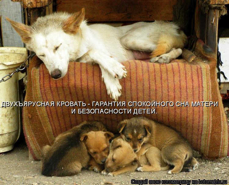 Котоматрица: ДВУХЪЯРУСНАЯ КРОВАТЬ - ГАРАНТИЯ СПОКОЙНОГО СНА МАТЕРИ И БЕЗОПАСНОСТИ ДЕТЕЙ. И БЕЗОПАСНОСТИ ДЕТЕЙ.