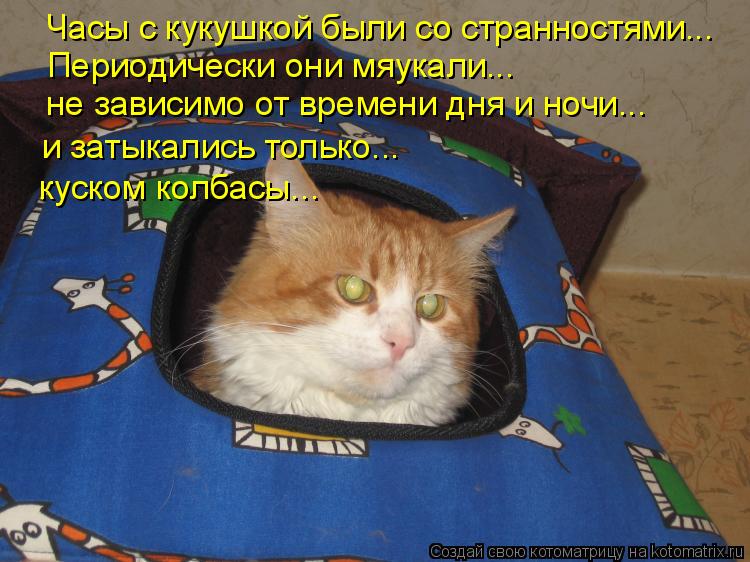 Часы с кукушкой были со странностями... Периодически они мяукали... не зависимо от времени дня и ночи... Котоматрица: Часы с кукушкой были со странностями... Периодически они мяукали... не зависимо от времени дня и ночи... и затыкались только... куском колбасы...