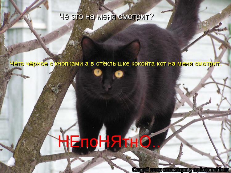 Котоматрица: Чё это на меня смотрит? Чёто чёрное с кнопками,а в стёклышке кокойта кот на меня смотрит.. НЕпоНЯтнО°•