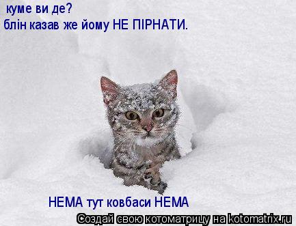 Котоматрица: куме ви де?  блiн казав же йому НЕ ПIРНАТИ.  НЕМА тут ковбаси НЕМА