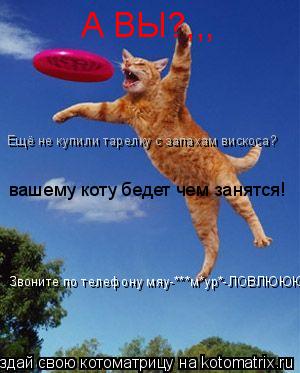 Котоматрица: А ВЫ?,,, Ещё не купили тарелку с запахам вискоса? вашему коту бедет чем занятся! Звоните по телефону мяу-***м*ур*-ЛОВЛЮЮЮЮЮ