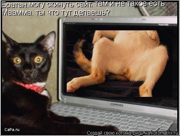 Котоматрица: Братан. могу скинуть сайт , там и не такое есть Маамма. ты что тут делаешь?