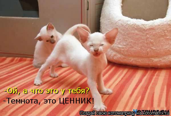 -Ой, а что это у тебя? -Темнота, это ЦЕННИК!... Котоматрица: -Ой, а что это у тебя? -Темнота, это ЦЕННИК!