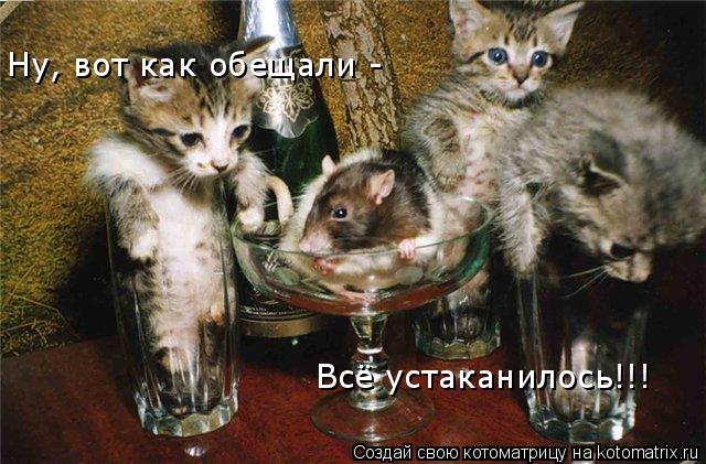 Ну, вот как обещали - Всё устаканилось!!!... Котоматрица: Ну, вот как обещали - Всё устаканилось!!!