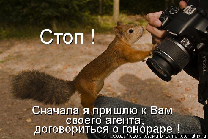 Котоматрица: Сначала я пришлю к Вам своего агента,  договориться о гонораре ! Стоп !
