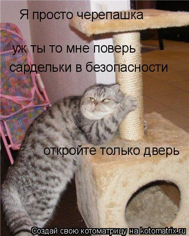 Я просто черепашка уж ты то мне поверь сардельки в безопасности откройте только дверь... Котоматрица: Я просто черепашка уж ты то мне поверь сардельки в безопасности откройте только дверь
