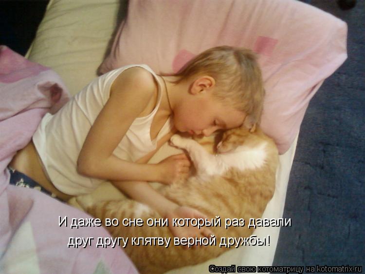 И даже во сне они который раз давали друг другу клятву верной дружбы!... Котоматрица: И даже во сне они который раз давали друг другу клятву верной дружбы!
