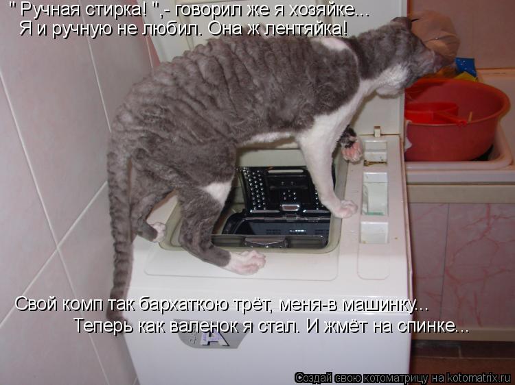 Котоматрица: " Ручная стирка! ",- говорил же я хозяйке... Я и ручную не любил. Она ж лентяйка! Свой комп так бархаткою трёт, меня-в машинку... Теперь как валено