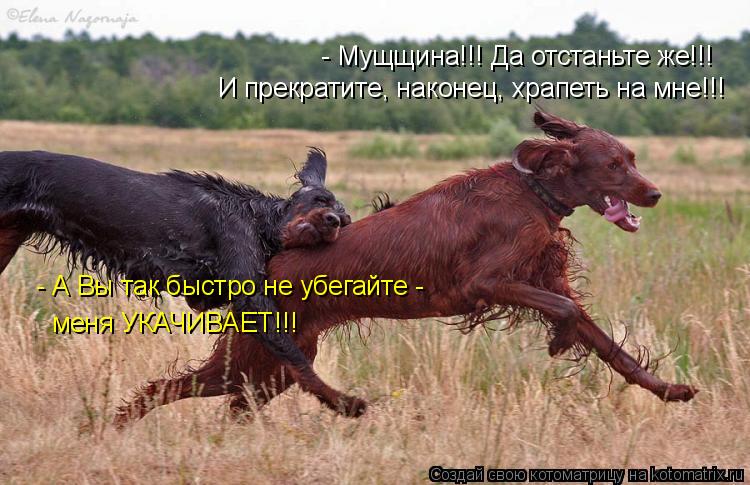 И прекратите, наконец, храпеть на мне!!! - А Вы так быстро не убегайте - меня УКАЧИВАЕТ!!! - Мущщина!... Котоматрица: И прекратите, наконец, храпеть на мне!!! - А Вы так быстро не убегайте - меня УКАЧИВАЕТ!!! - Мущщина!!! Да отстаньте же!!!