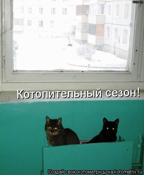Котоматрица: Котопительный сезон!