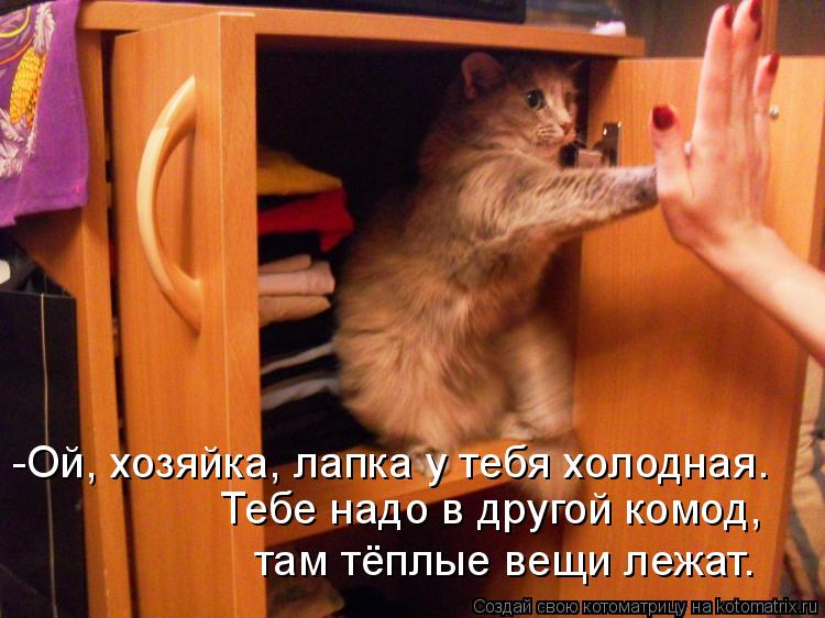 Котоматрица: -Ой, хозяйка, лапка у тебя холодная. Тебе надо в другой комод,  там тёплые вещи лежат.