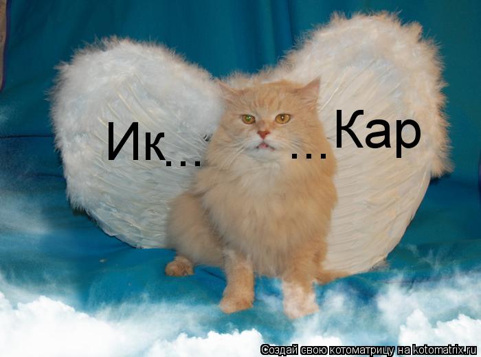 Котоматрица: Ик Кар ... ...