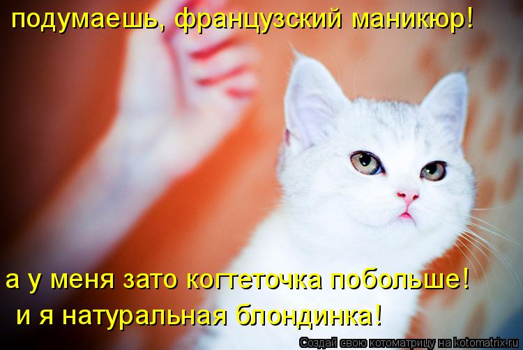 Котоматрица: подумаешь, французский маникюр! а у меня зато когтеточка побольше! и я натуральная блондинка!