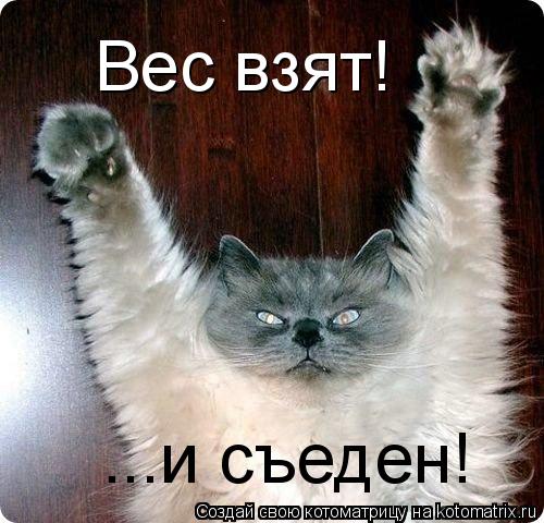 Котоматрица: Вес взят! Вес взят! Вес взят! Вес взят! ...и съеден!