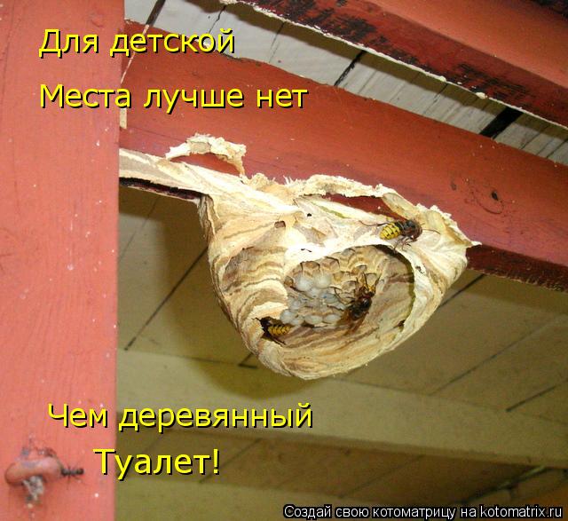 Котоматрица: Для детской Места лучше нет Чем деревянный Туалет!