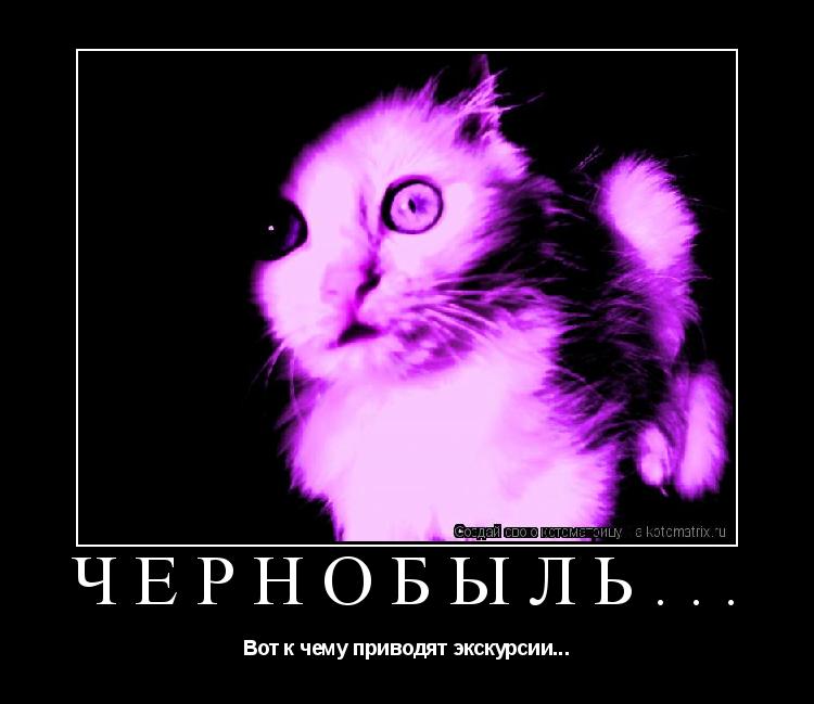 Котоматрица: Чернобыль... Вот к чему приводят экскурсии...