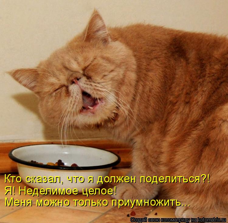 Котоматрица: Кто сказал, что я должен поделиться?! Я! Неделимое целое! Меня можно только приумножить...