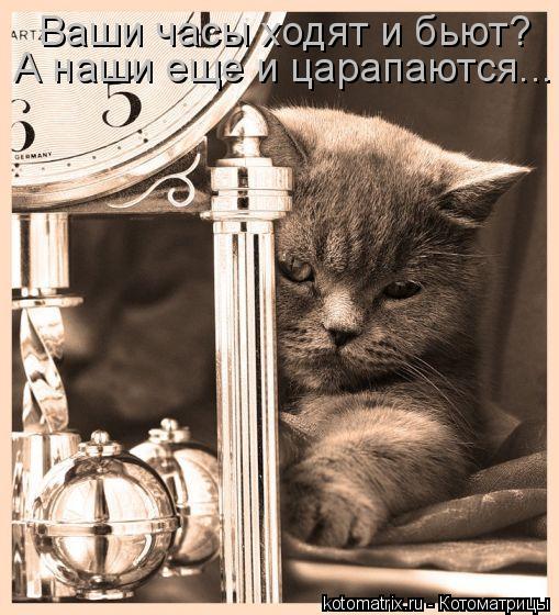Котоматрица: Ваши часы ходят и бьют? А наши еще и царапаются...