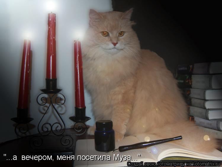 Котоматрица: "...а  вечером, меня посетила Муза..."